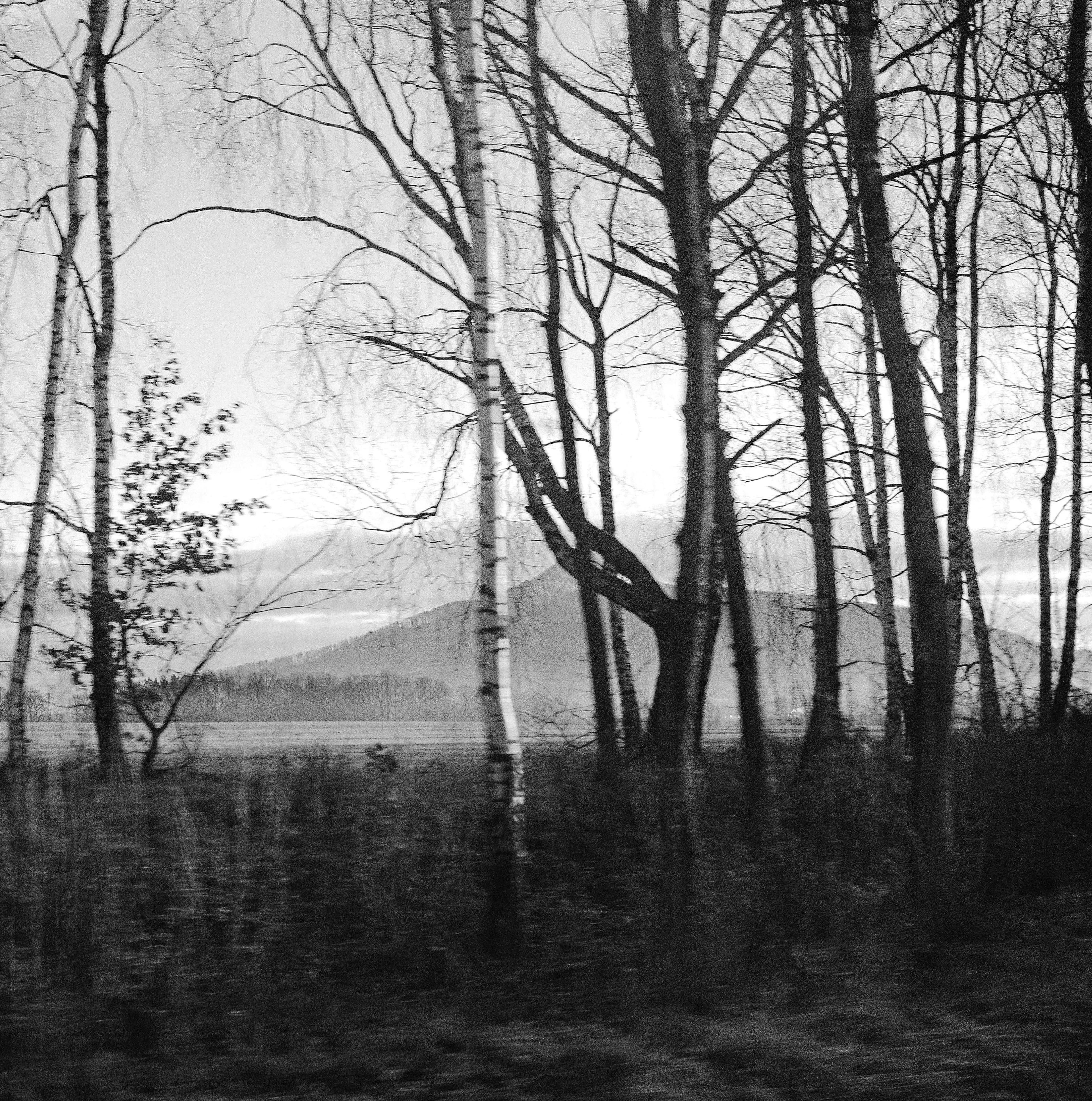 Lužické hory, krajina, která album inspirovala